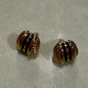 Elegant Gold and Black/Navy ?  Earrings